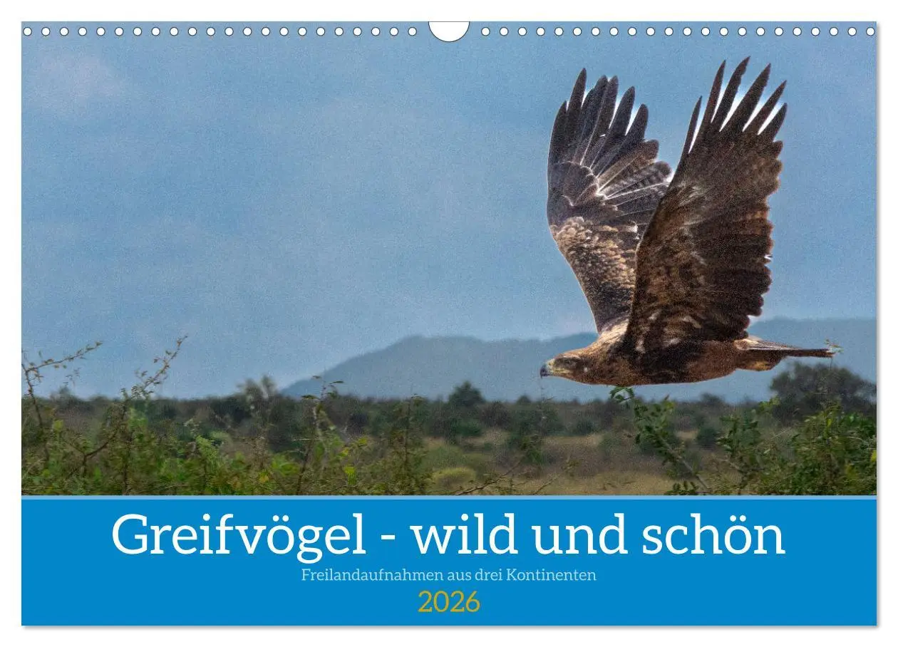 Cover: 9783457372135 | Greifvögel - wild und schön (Wandkalender 2026 DIN A3 quer),...