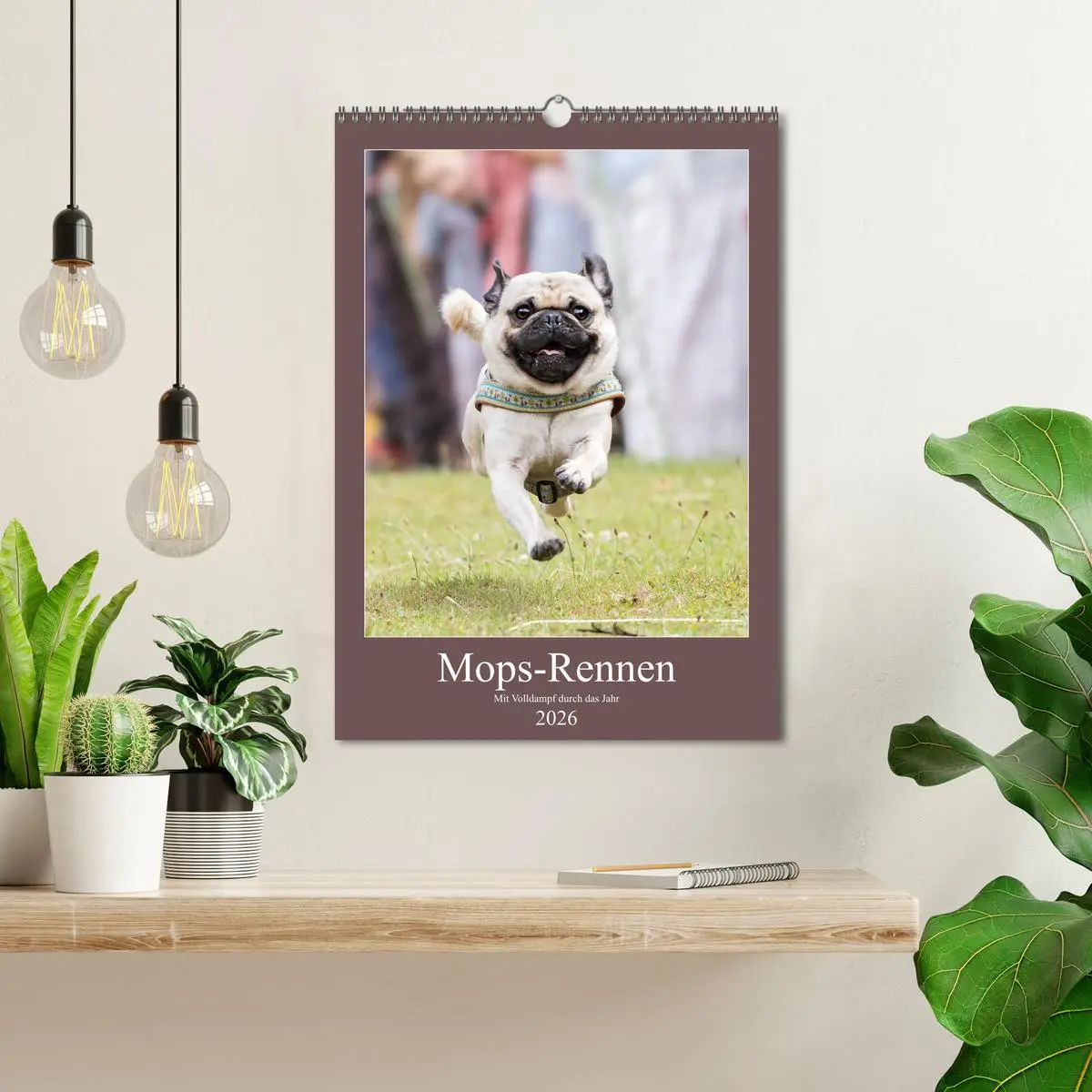 Bild: 9783516392135 | Mops-Rennen (Wandkalender 2026 DIN A3 hoch), CALVENDO Monatskalender