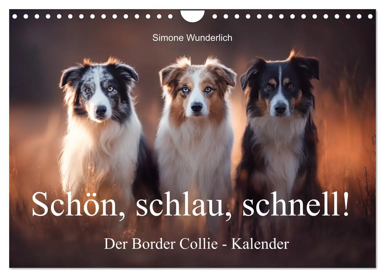 Cover: 9783516602135 | Schön, schlau, schnell! - Der Border Collie - Kalender...