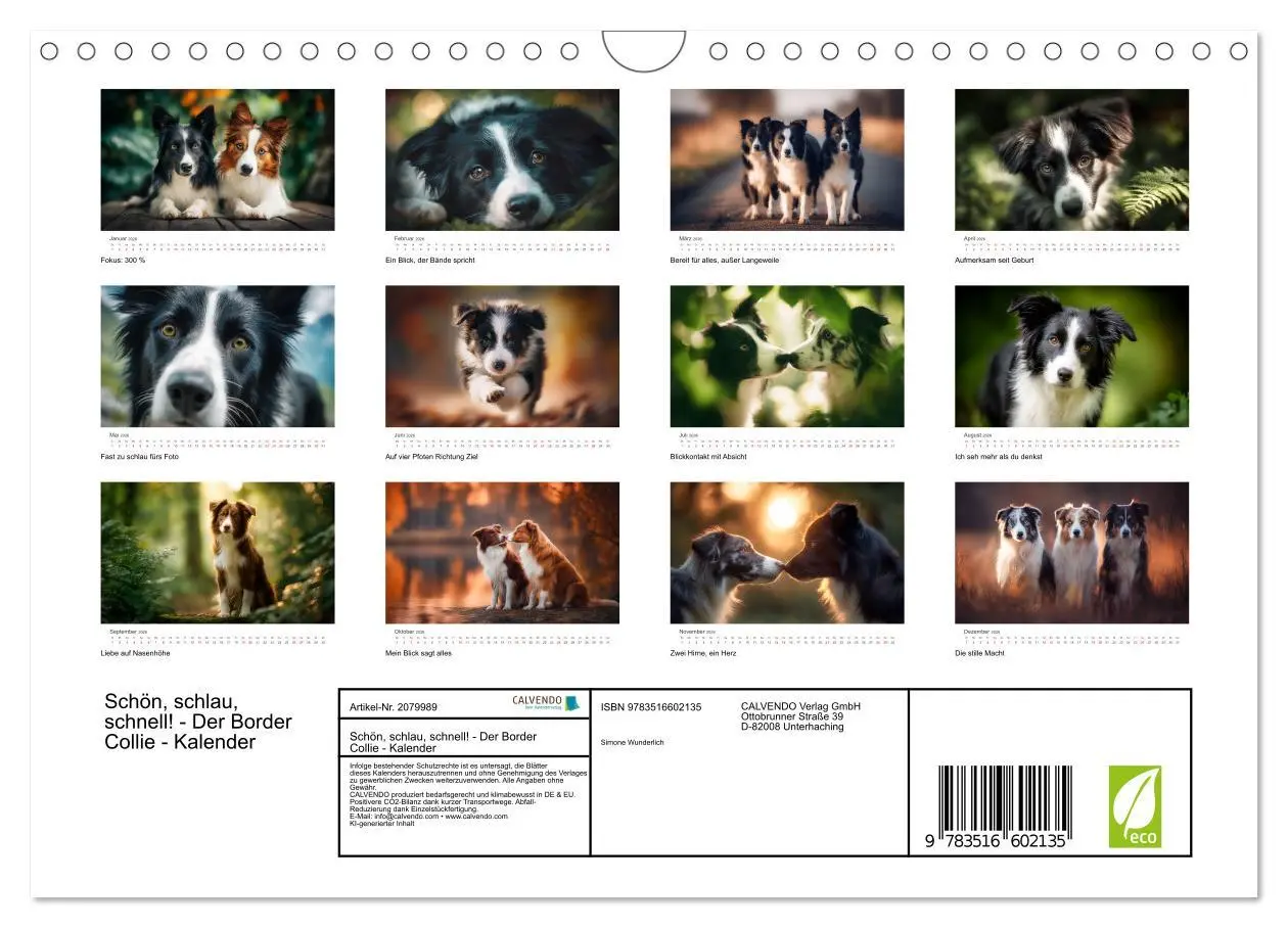 Bild: 9783516602135 | Schön, schlau, schnell! - Der Border Collie - Kalender...