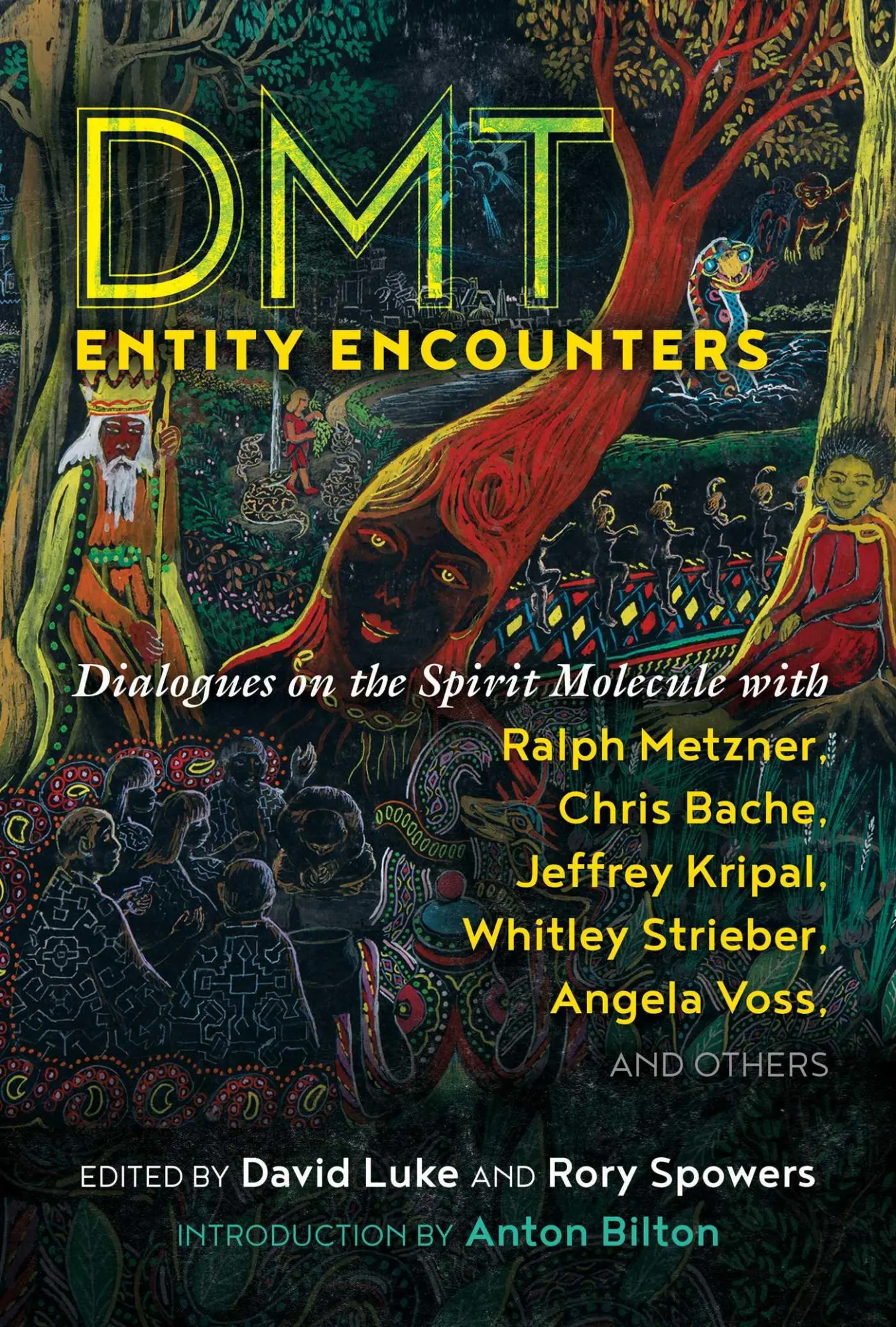 Cover: 9781644112335 | Dmt Entity Encounters | David Luke (u. a.) | Taschenbuch | Englisch