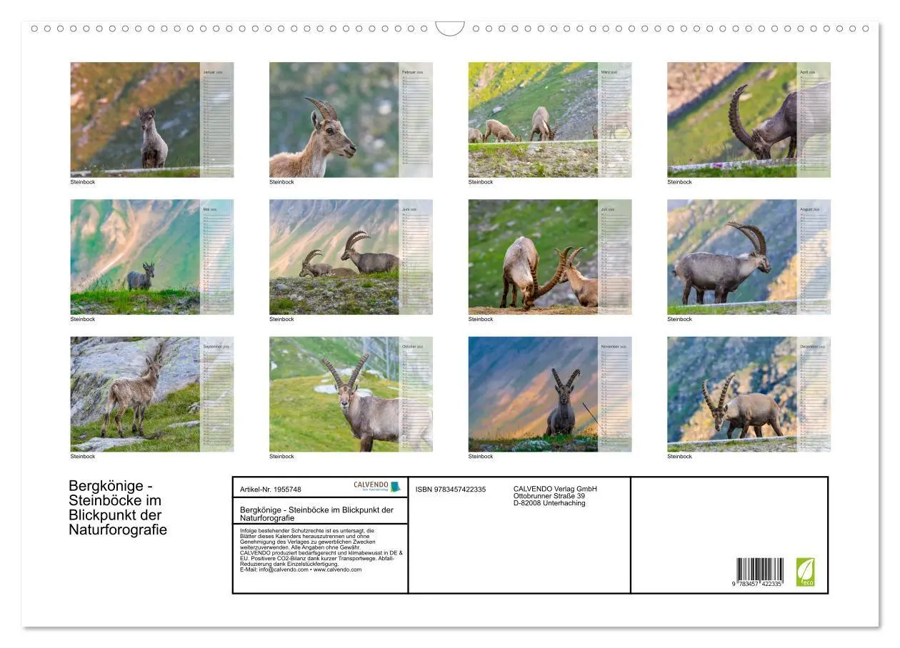 Bild: 9783457422335 | Bergkönige - Steinböcke im Blickpunkt der Naturforografie...
