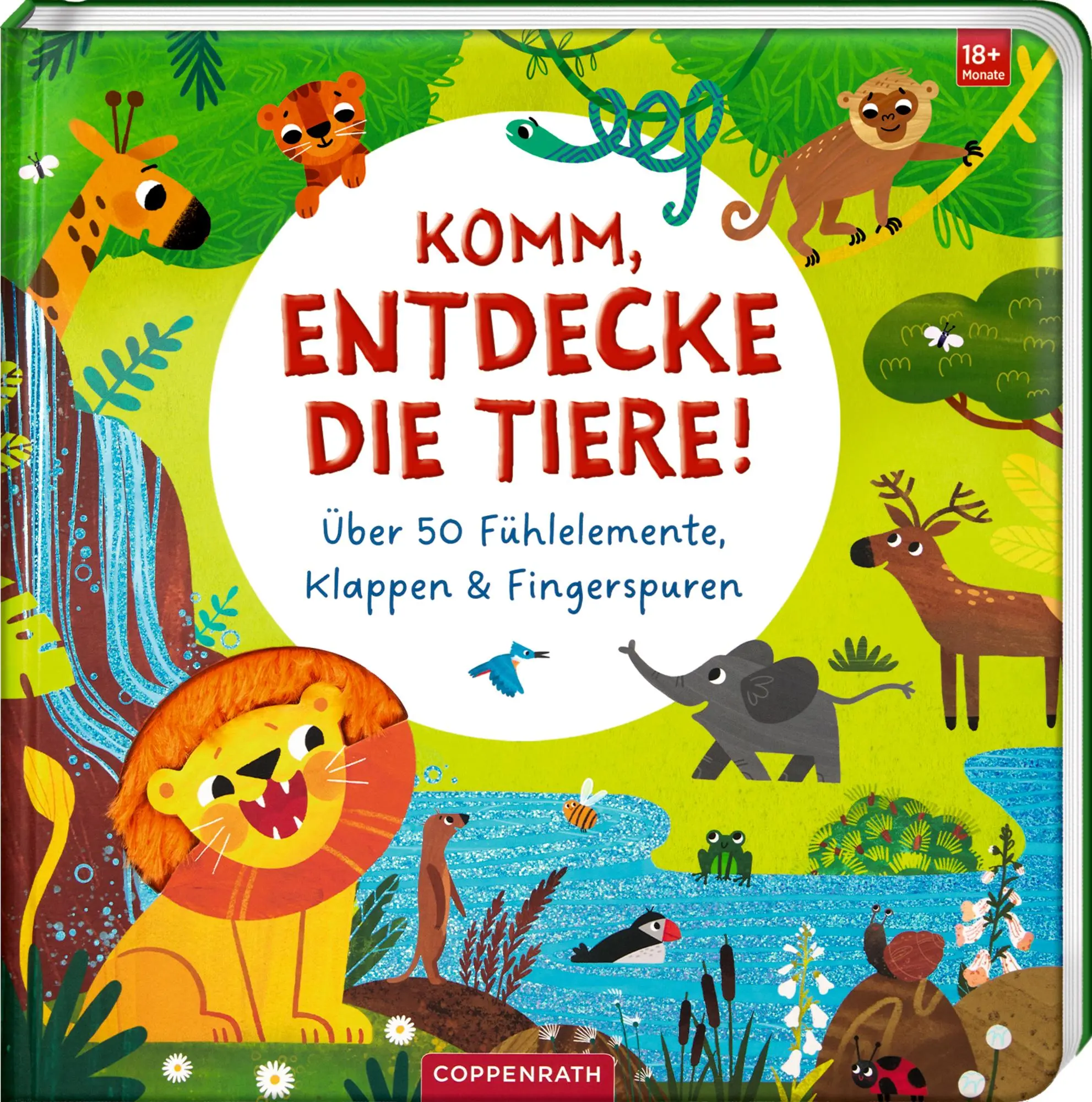 Cover: 9783649652335 | Komm, entdecke die Tiere! | Masha Shu | Buch | 12 S. | Deutsch | 2025