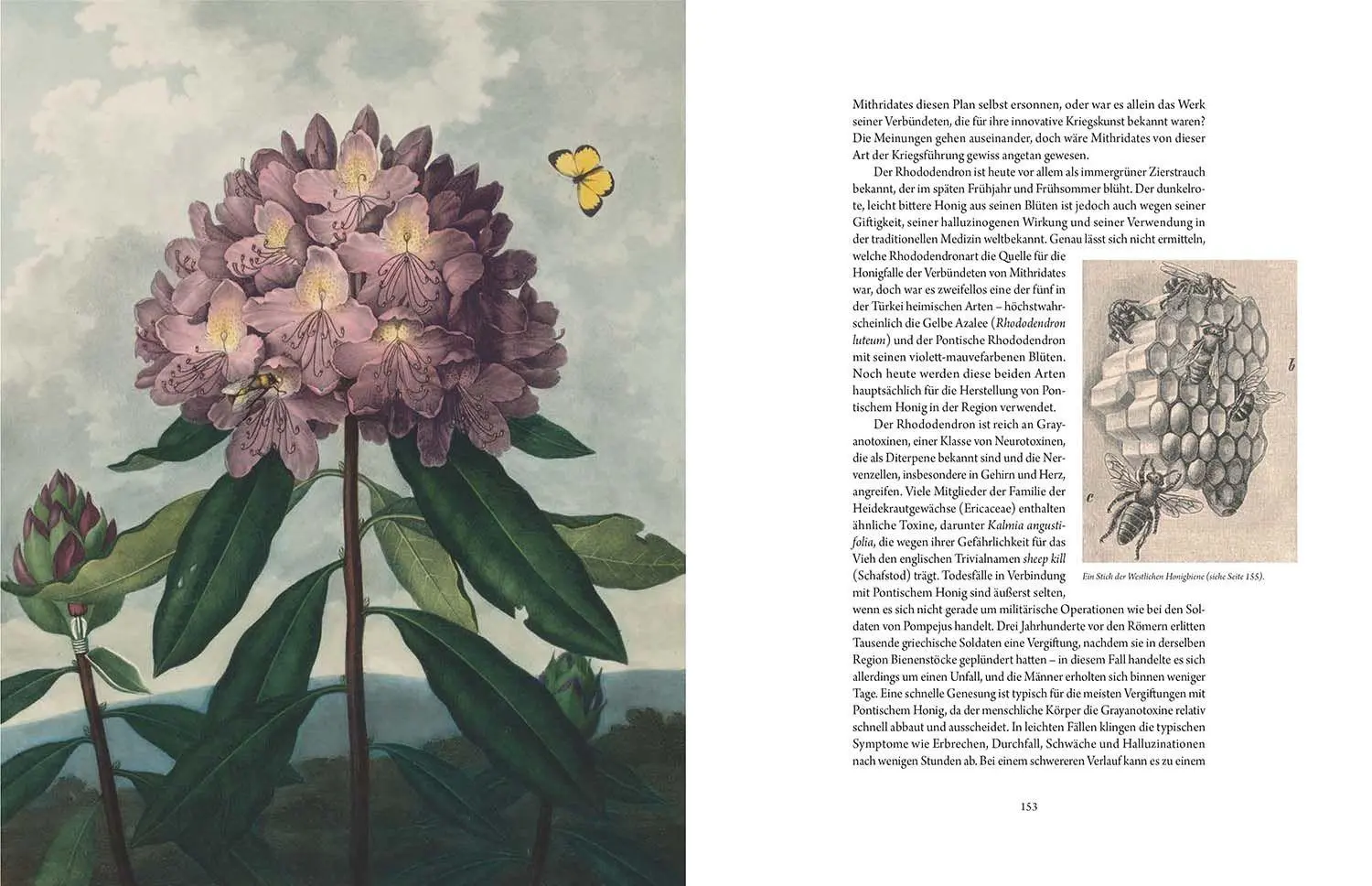 Bild: 9789464992335 | Atlas der tödlichen Pflanzen | Jane Perrone | Buch | 256 S. | Deutsch
