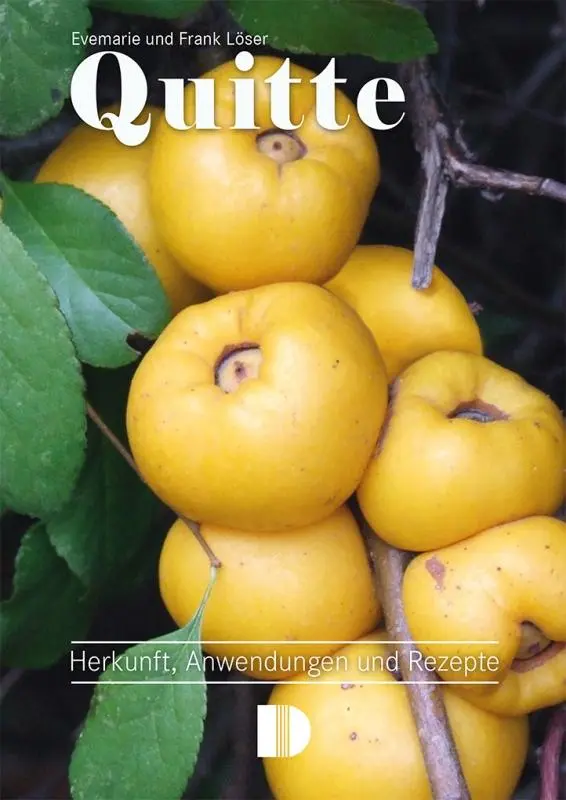 Cover: 9783944102535 | Quitte | Herkunft, Anwendungen und Rezepte | Frank Löser (u. a.)