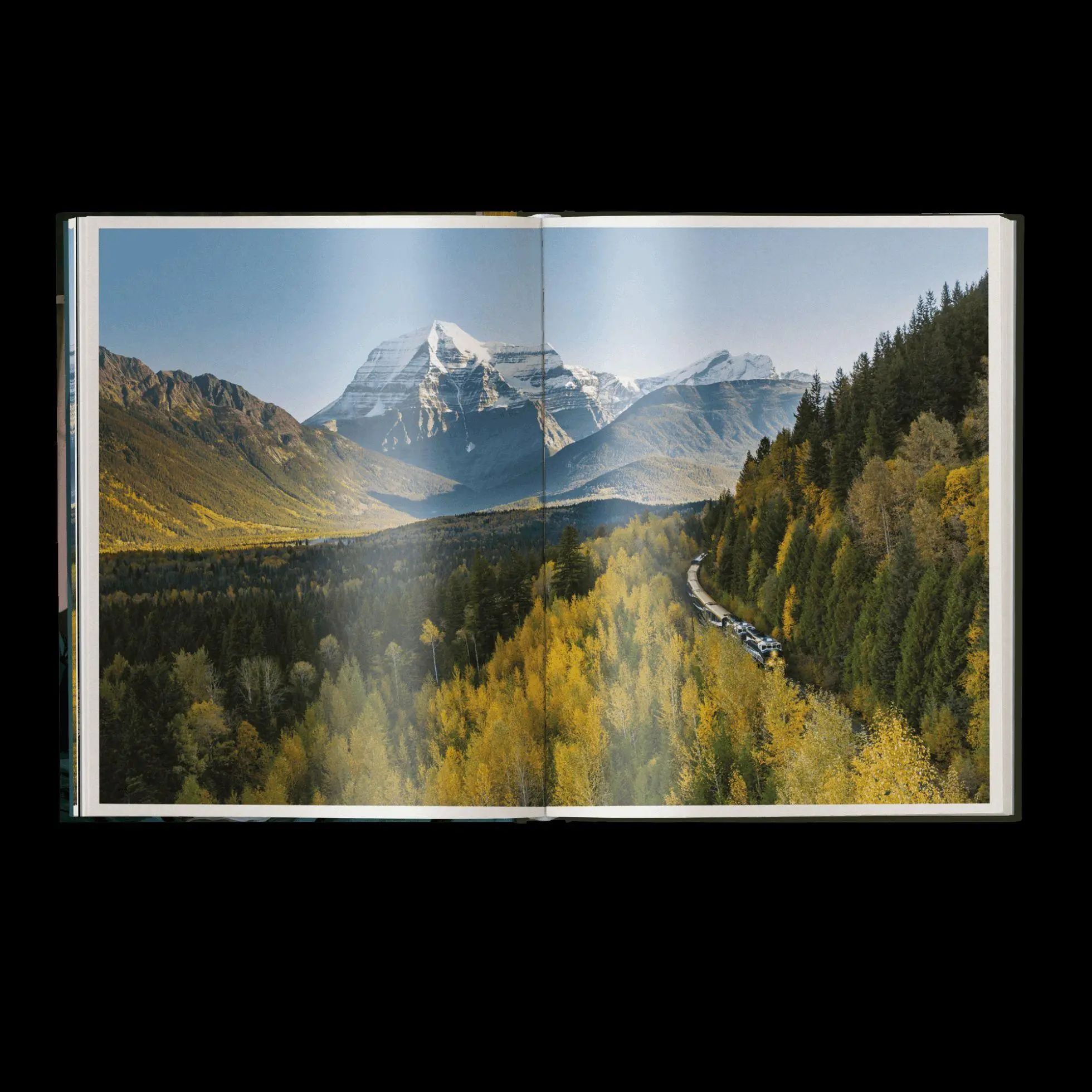 Bild: 9783967042535 | Velvet Rails | Grand Train Travels | Monisha Rajesh | Buch | 256 S.
