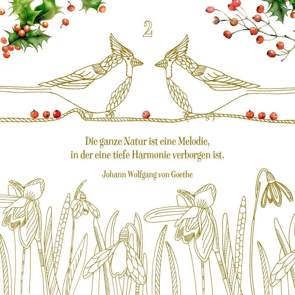 Bild: 4050003952635 | Kreativkalender - Zauber der Natur | Marjolein Bastin Productions B.V.