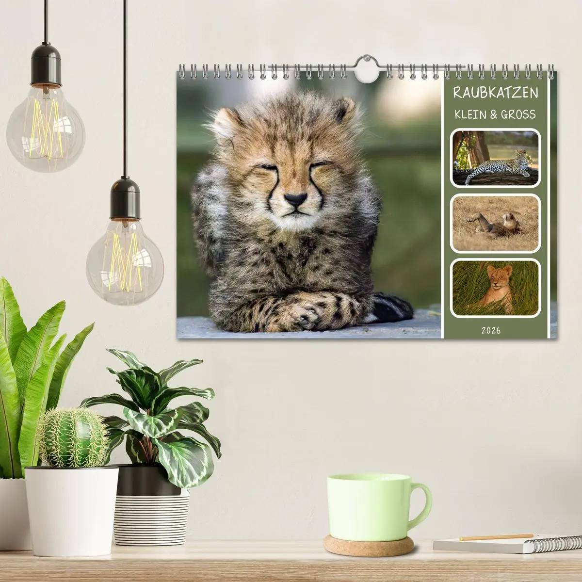 Bild: 9783457252635 | Raubkatzen - groß &amp; klein (Wandkalender 2026 DIN A4 quer), CALVENDO...