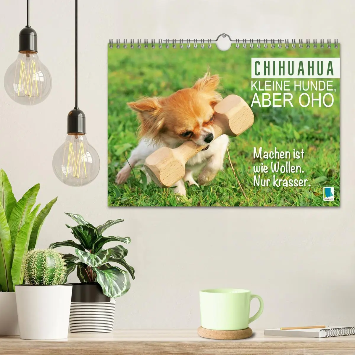 Bild: 9783457322635 | Chihuahua: Kleine Hunde, aber oho (Wandkalender 2026 DIN A4 quer),...