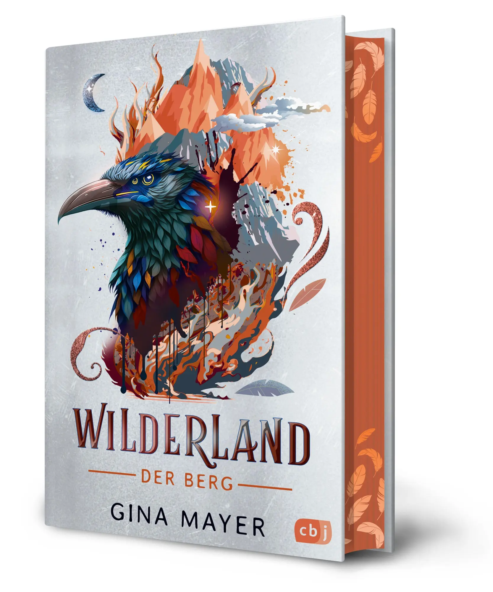 Bild: 9783570182635 | Wilderland - Der Berg | Gina Mayer | Buch | Die Wilderland-Reihe | cbj