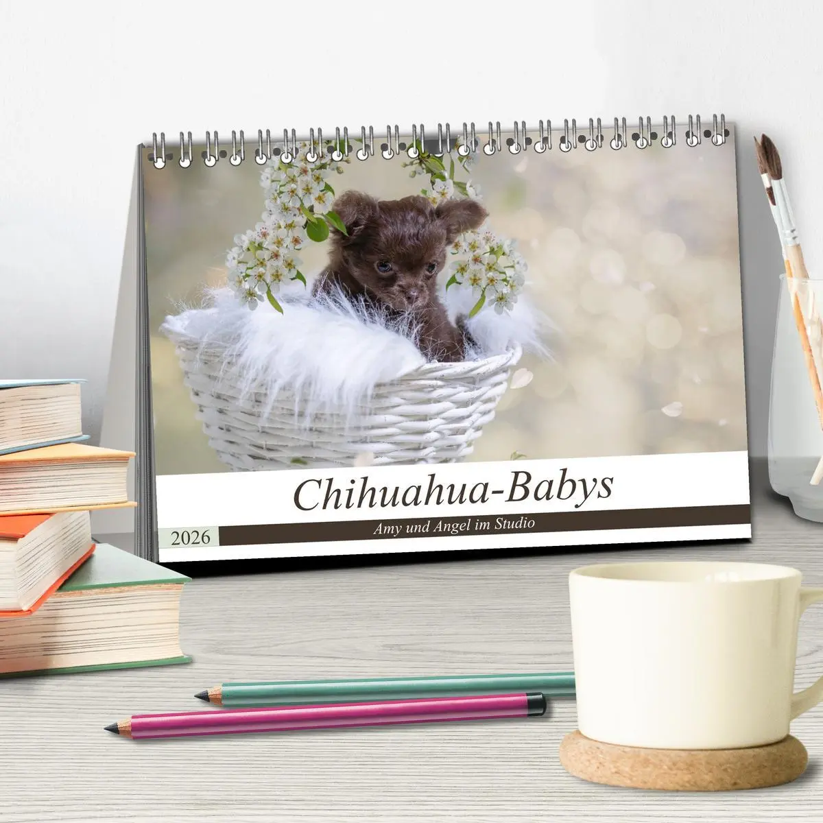 Bild: 9783457932735 | Chihuahua-Babys - Amy und Angel im Studio (Tischkalender 2026 DIN...