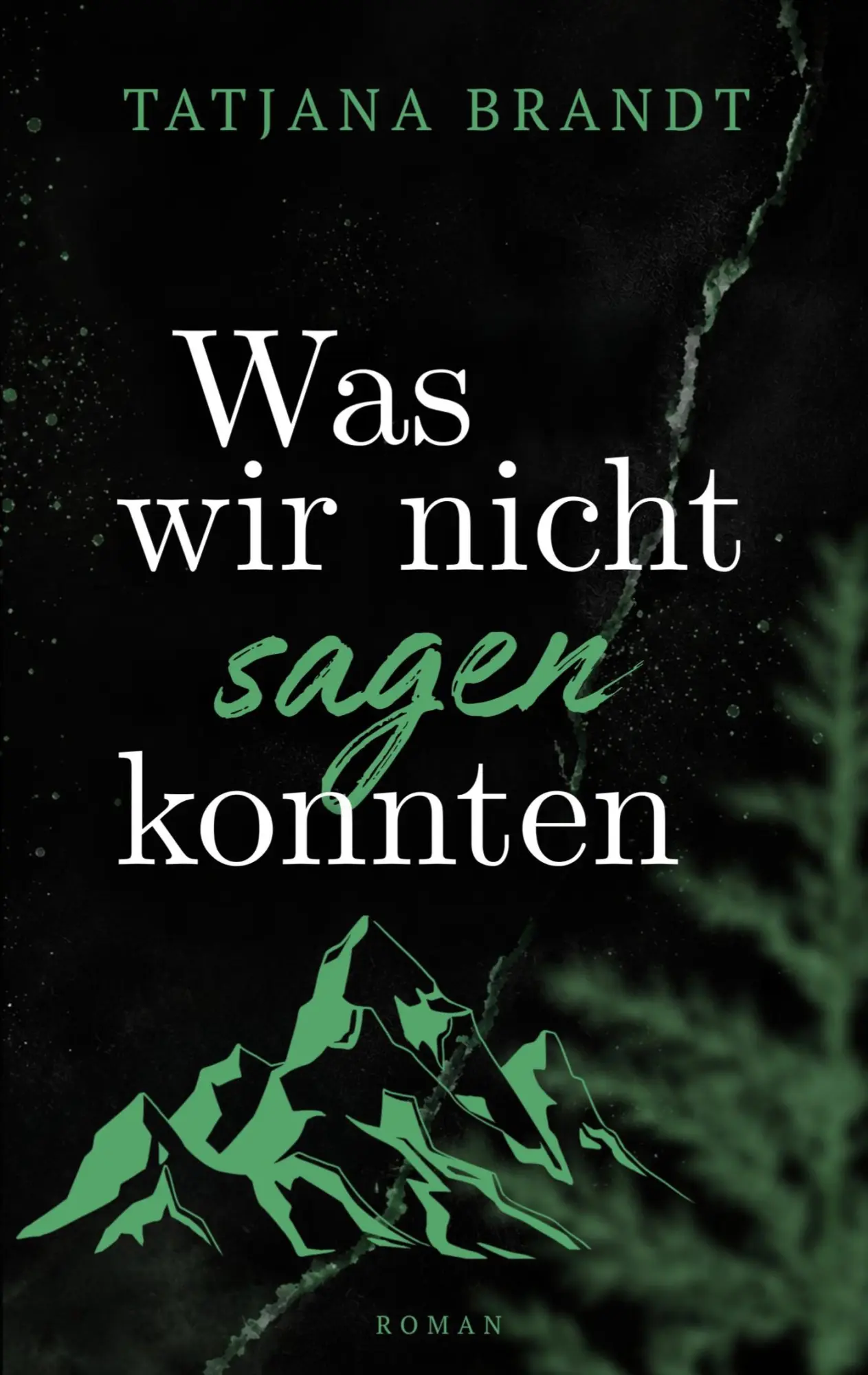 Cover: 9783696382735 | Was wir nicht sagen konnten | Tatjana Brandt | Taschenbuch | 222 S.