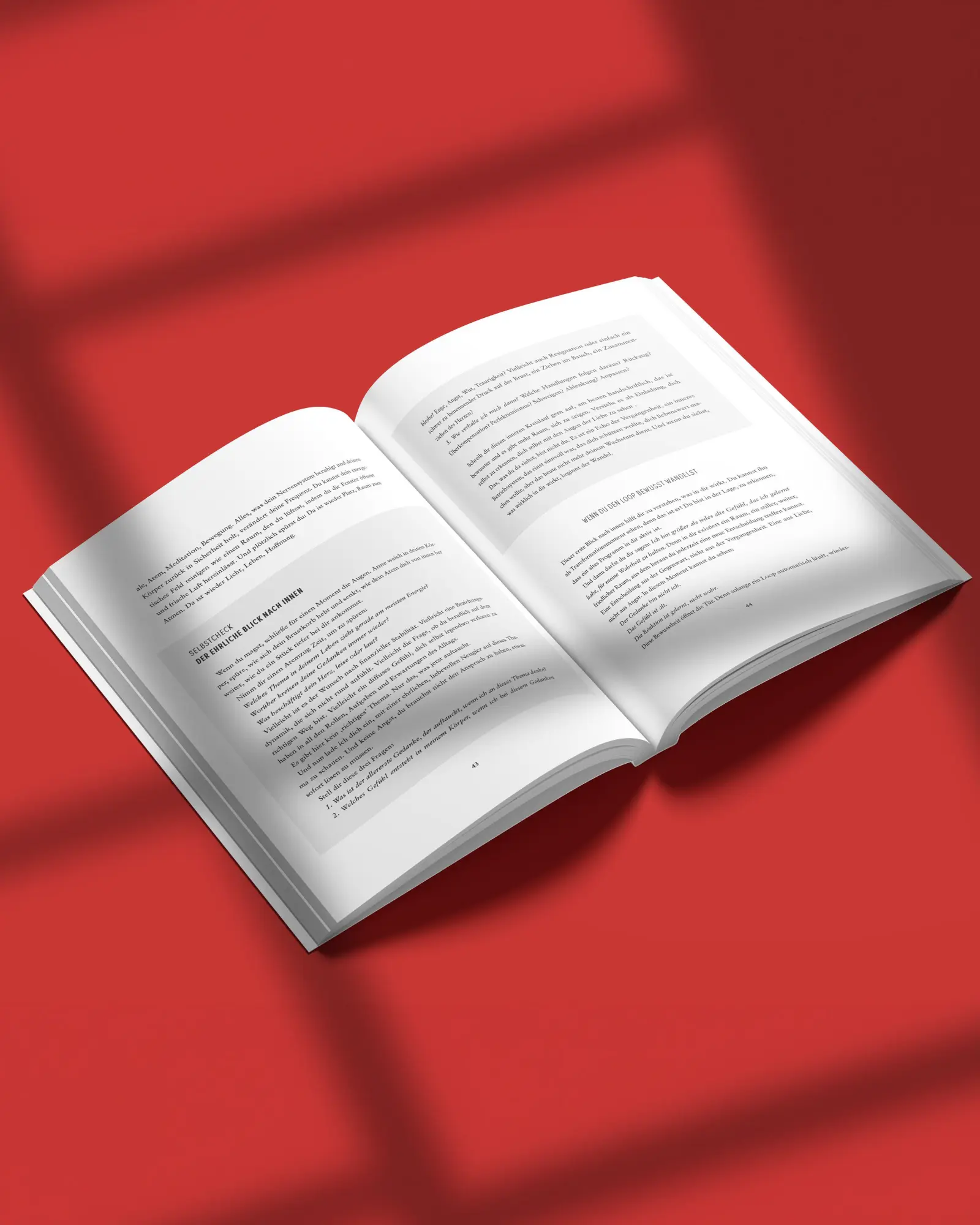 Bild: 9783949822735 | Es ist alles da. | Laura Malina Seiler | Taschenbuch | 298 S. | 2026