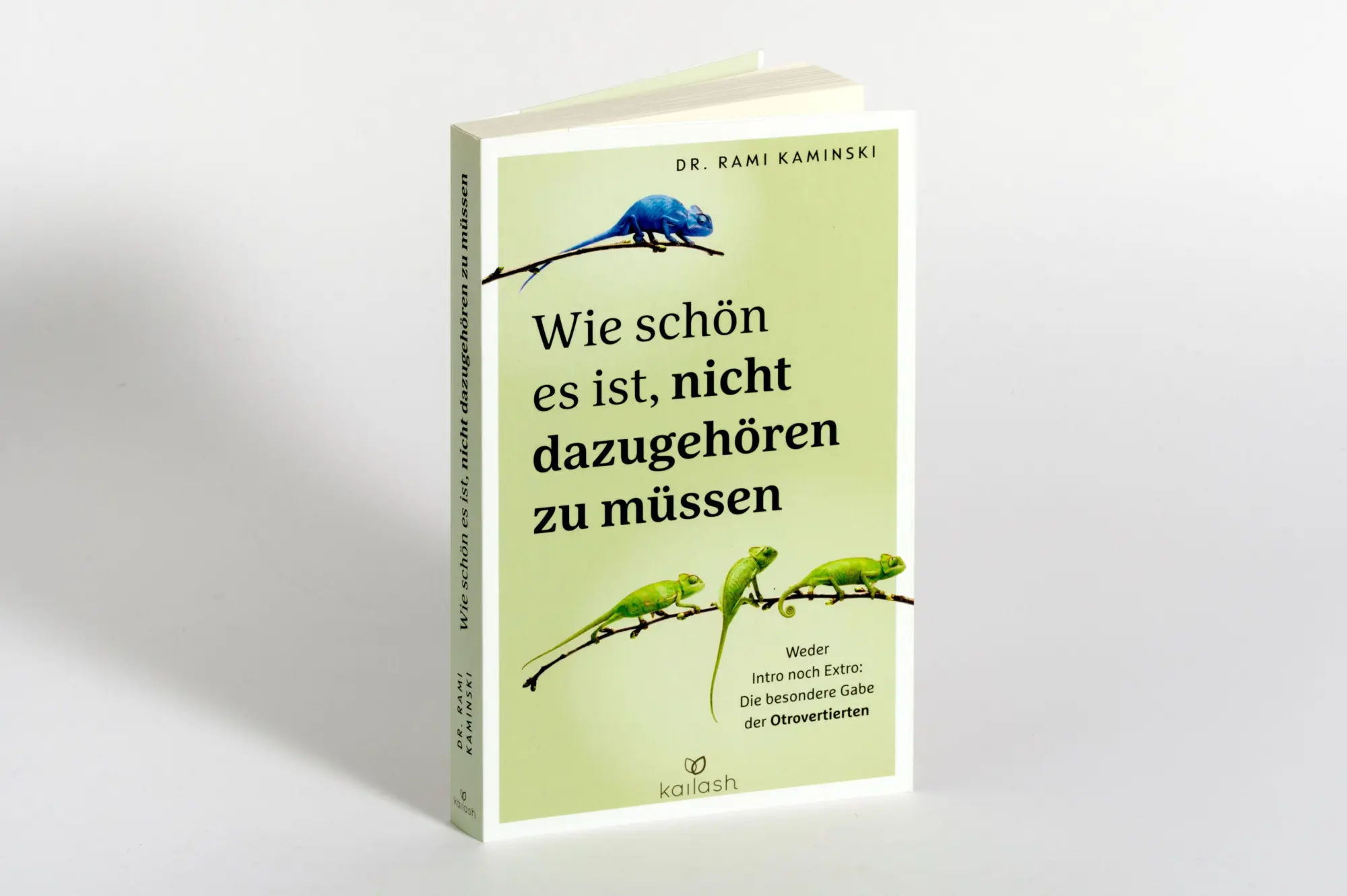 Bild: 9783424632835 | Wie schön es ist, nicht dazugehören zu müssen | Rami Kaminski | Buch