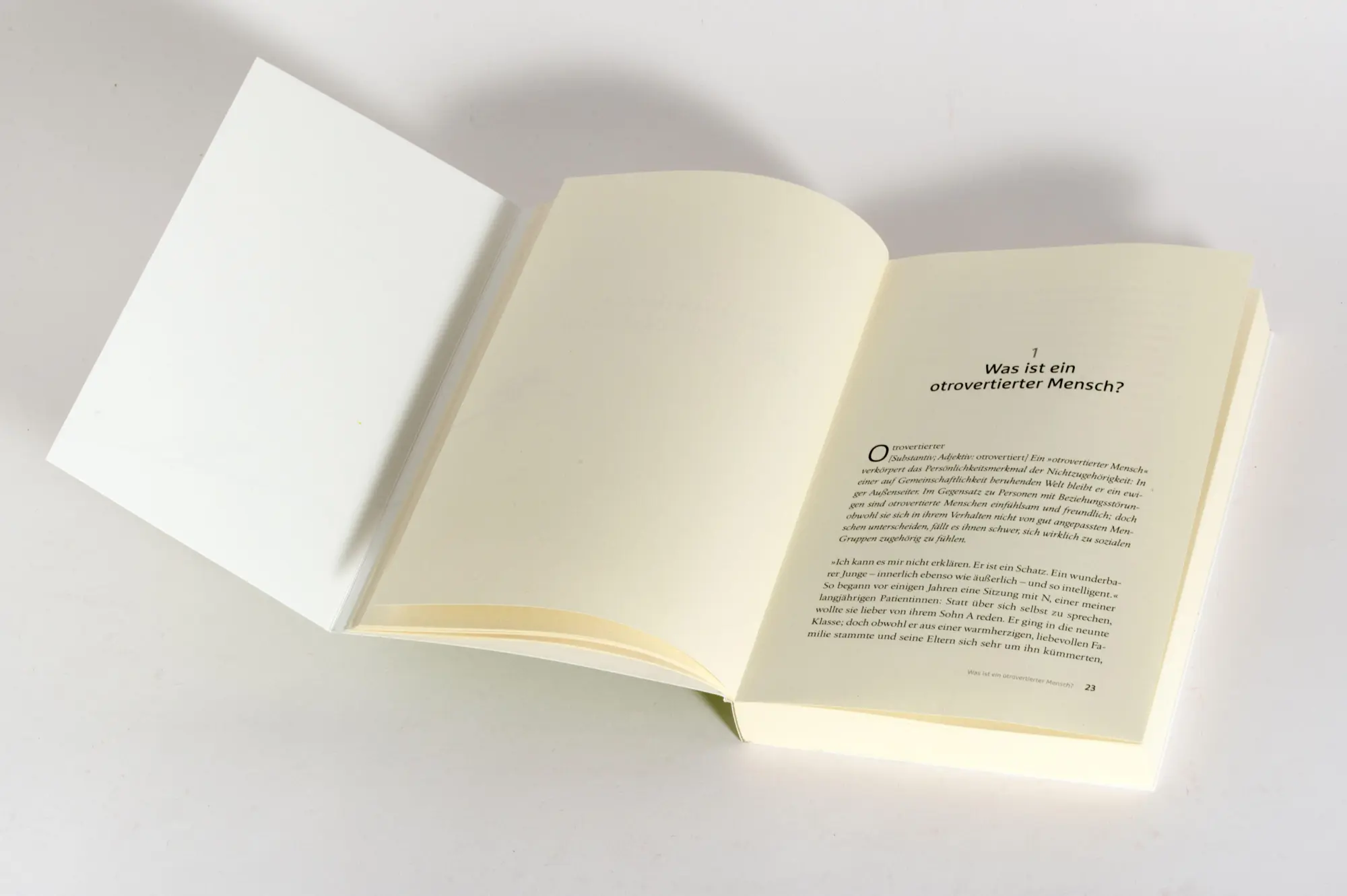 Bild: 9783424632835 | Wie schön es ist, nicht dazugehören zu müssen | Rami Kaminski | Buch