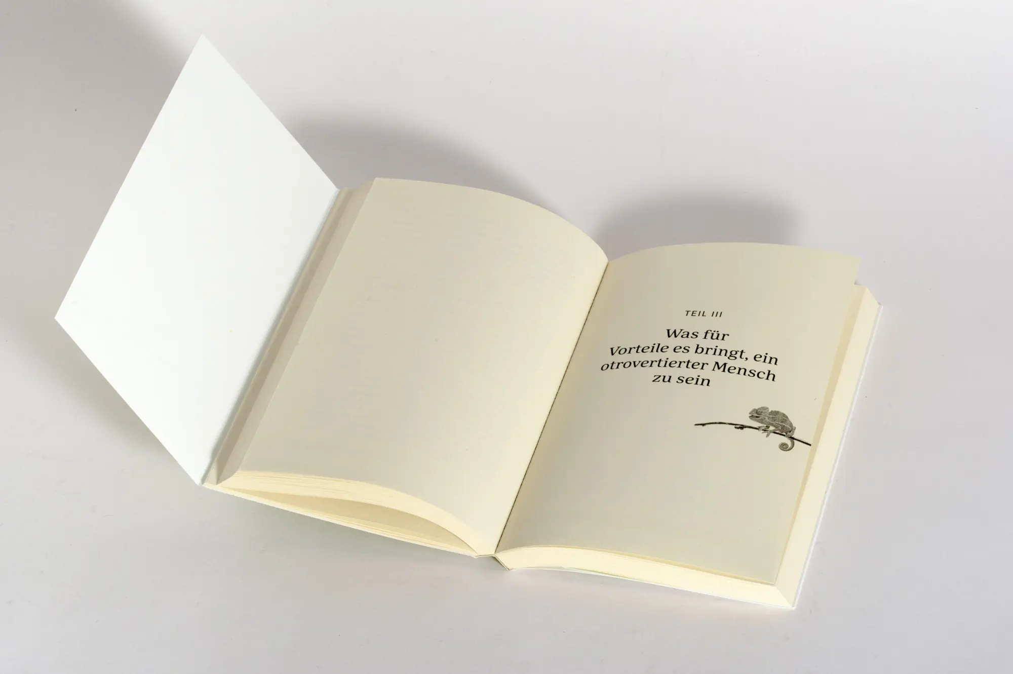 Bild: 9783424632835 | Wie schön es ist, nicht dazugehören zu müssen | Rami Kaminski | Buch