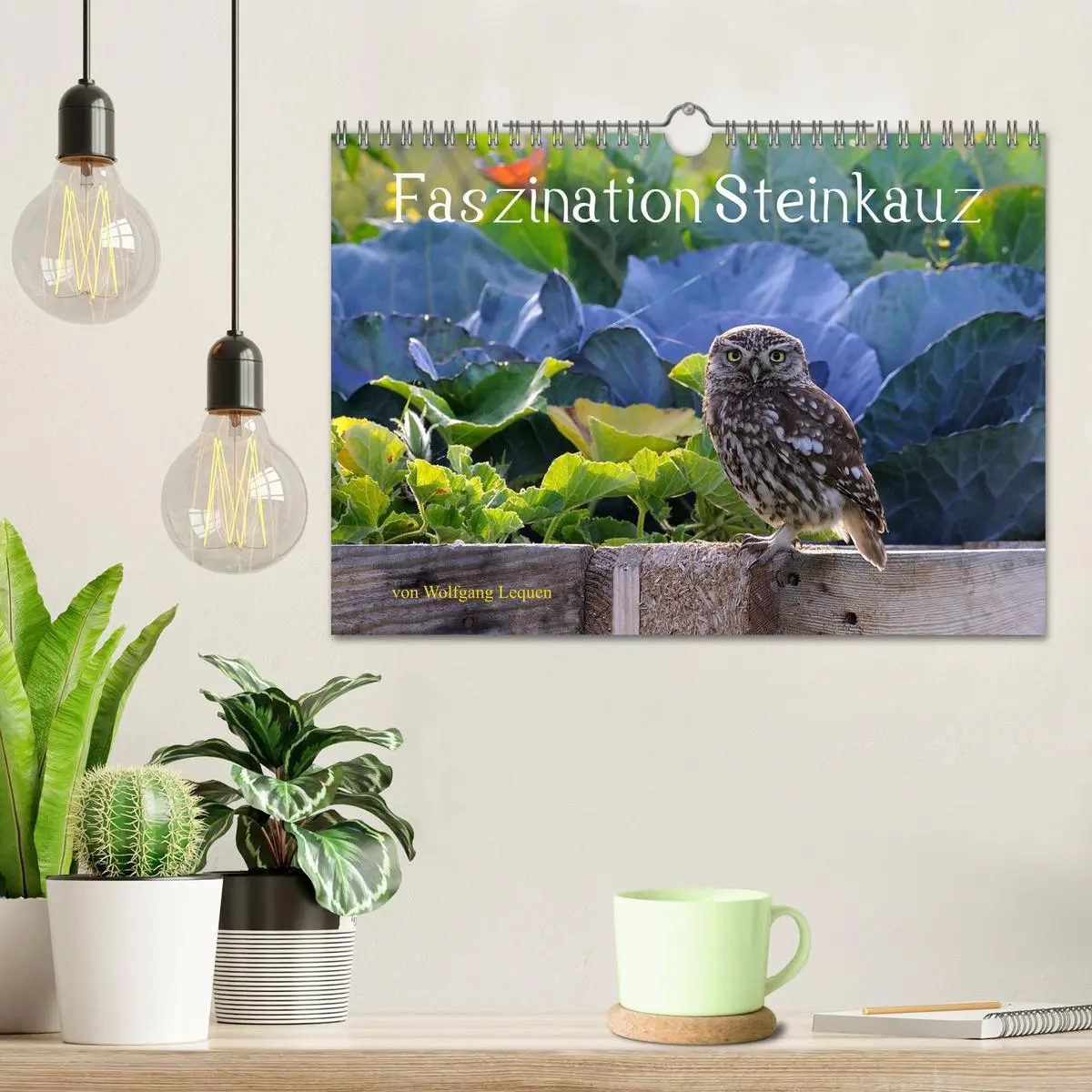 Bild: 9783457612835 | Faszination Steinkauz (Wandkalender 2026 DIN A4 quer), CALVENDO...