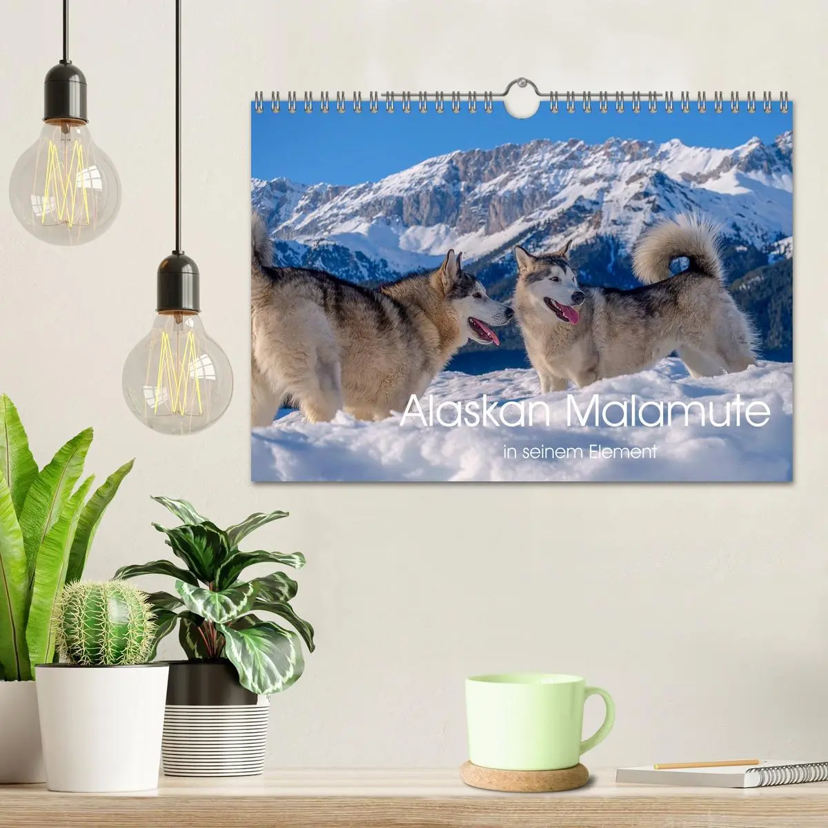 Bild: 9783457782835 | Alaskan Malamute in seinem Element (Wandkalender 2026 DIN A4 quer),...