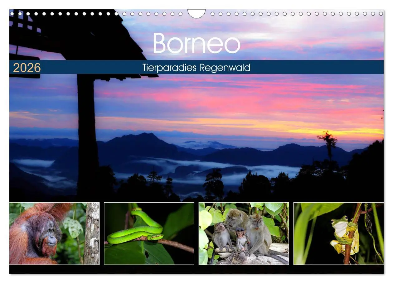Cover: 9783457852835 | Borneo - Tierparadies Regenwald (Wandkalender 2026 DIN A3 quer),...