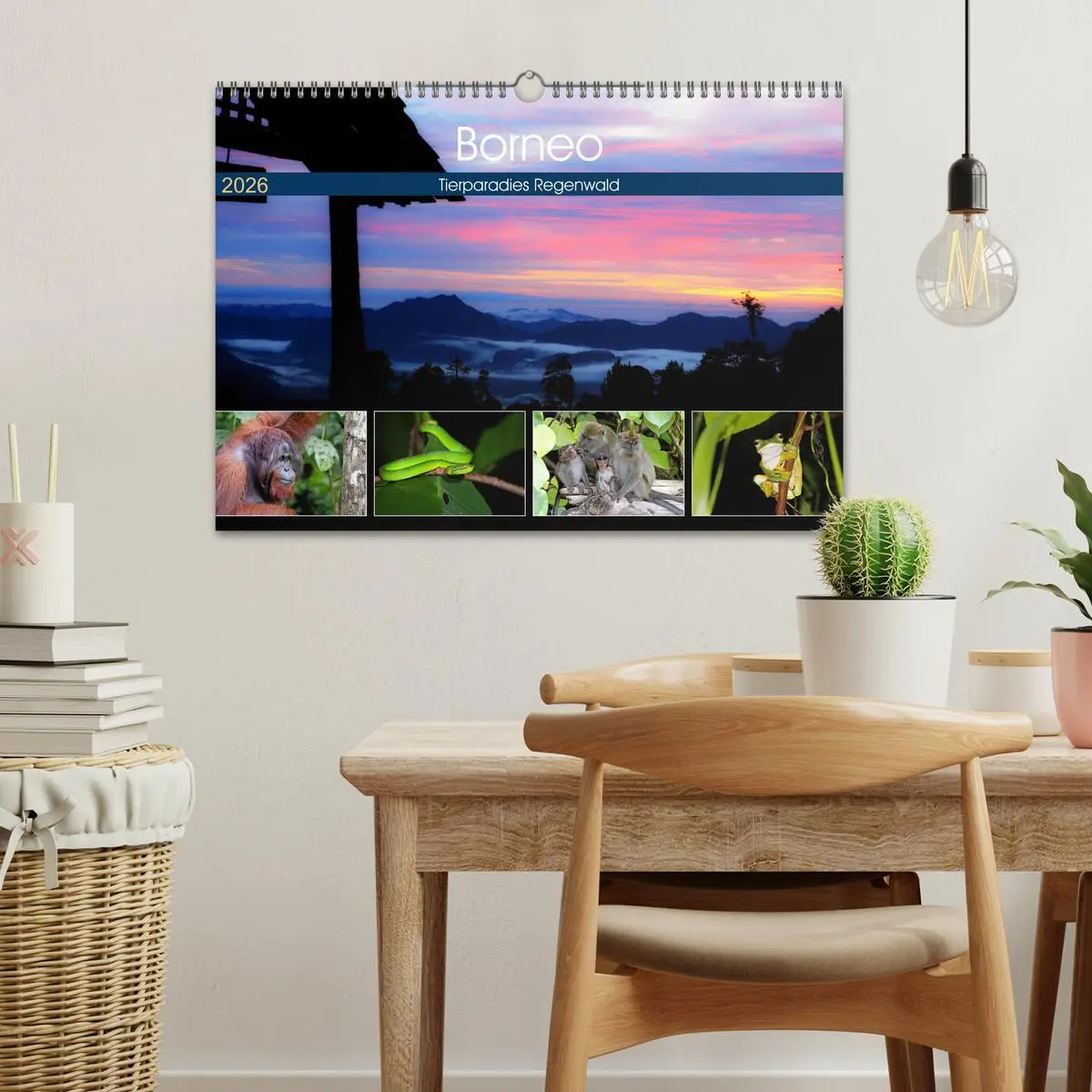 Bild: 9783457852835 | Borneo - Tierparadies Regenwald (Wandkalender 2026 DIN A3 quer),...