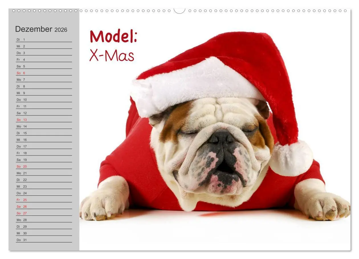 Bild: 9783516002935 | English Bulldog XXL Models (Wandkalender 2026 DIN A2 quer),...