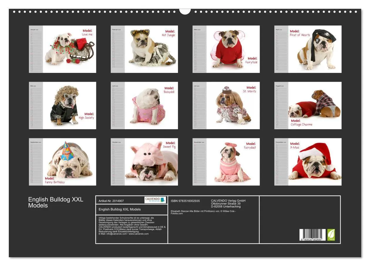 Bild: 9783516002935 | English Bulldog XXL Models (Wandkalender 2026 DIN A2 quer),...