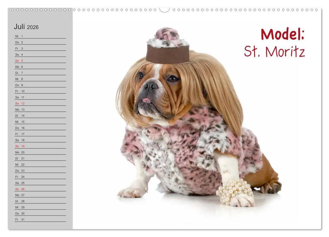Bild: 9783516002935 | English Bulldog XXL Models (Wandkalender 2026 DIN A2 quer),...