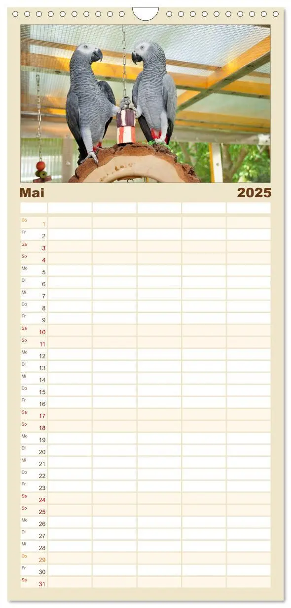 Bild: 9783457113035 | Familienplaner 2025 - Graupapageien mit Herz mit 5 Spalten...