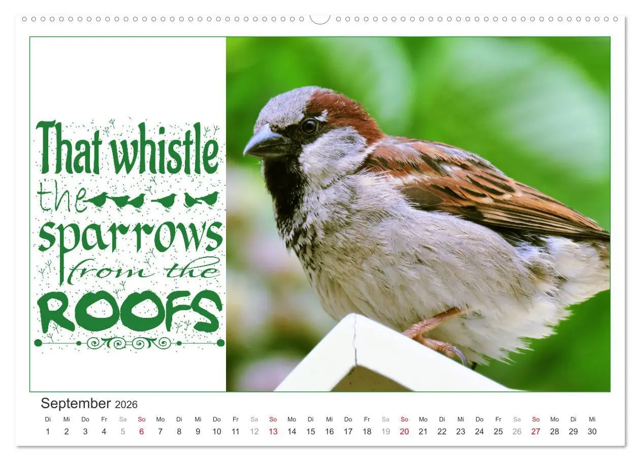 Bild: 9783457663035 | Tierisch Denglisch (hochwertiger Premium Wandkalender 2026 DIN A2...