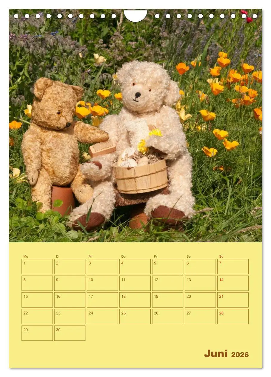 Bild: 9783516443035 | Bärenstarker Planer für das Jahr - Teddys (Wandkalender 2026 DIN A4...