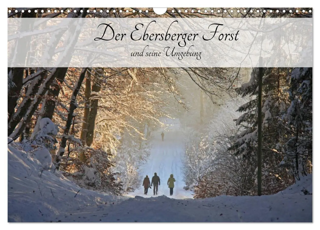 Cover: 9783516053135 | Der Ebersberger Forst und seine Umgebung (Wandkalender 2026 DIN A3...