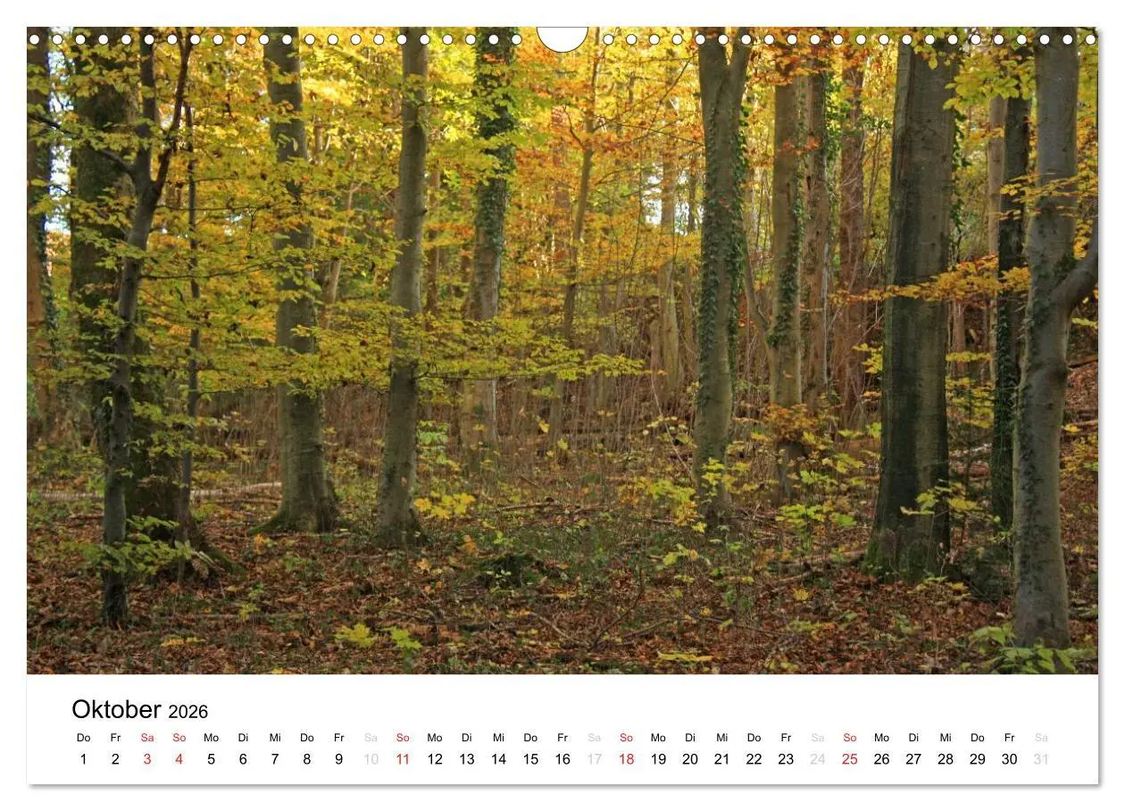 Bild: 9783516053135 | Der Ebersberger Forst und seine Umgebung (Wandkalender 2026 DIN A3...