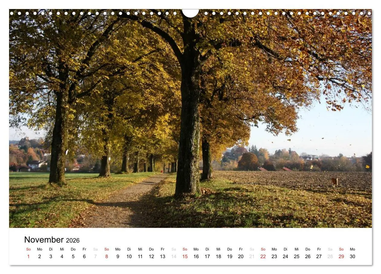 Bild: 9783516053135 | Der Ebersberger Forst und seine Umgebung (Wandkalender 2026 DIN A3...