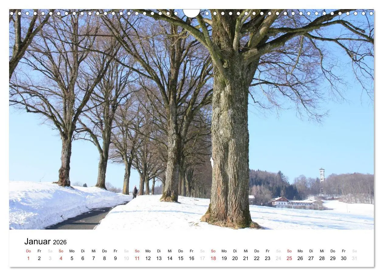 Bild: 9783516053135 | Der Ebersberger Forst und seine Umgebung (Wandkalender 2026 DIN A3...