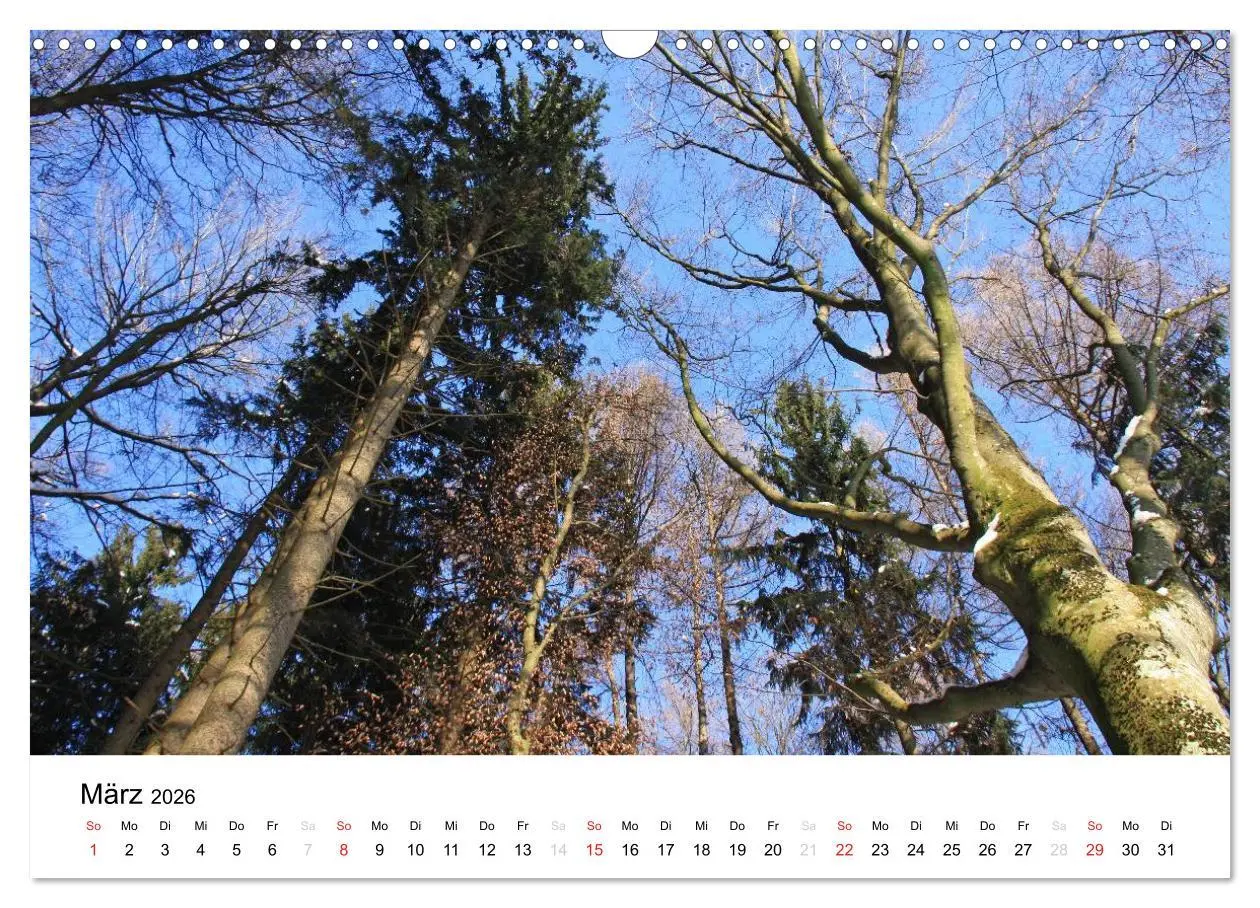 Bild: 9783516053135 | Der Ebersberger Forst und seine Umgebung (Wandkalender 2026 DIN A3...