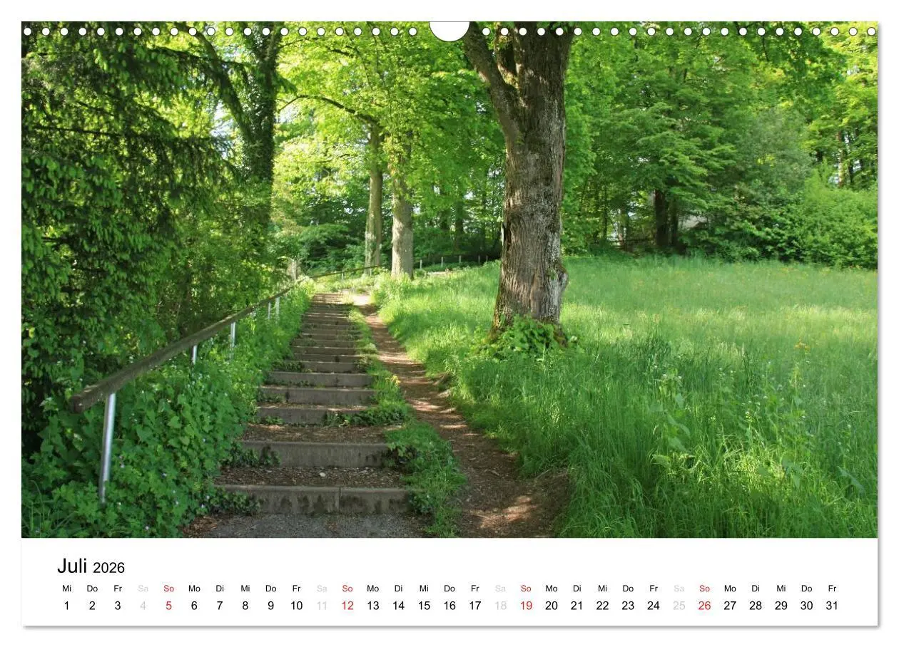 Bild: 9783516053135 | Der Ebersberger Forst und seine Umgebung (Wandkalender 2026 DIN A3...