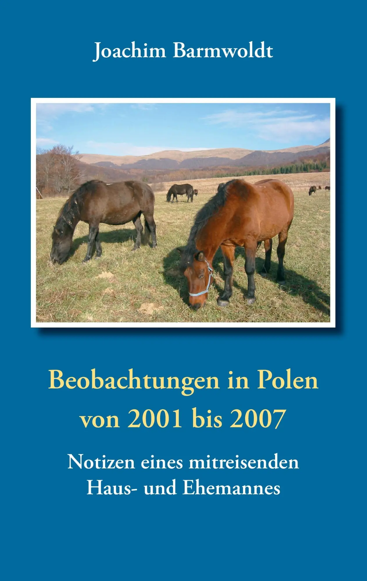 Cover: 9783735773135 | Beobachtungen in Polen | Joachim Barmwoldt | Taschenbuch | 160 S.