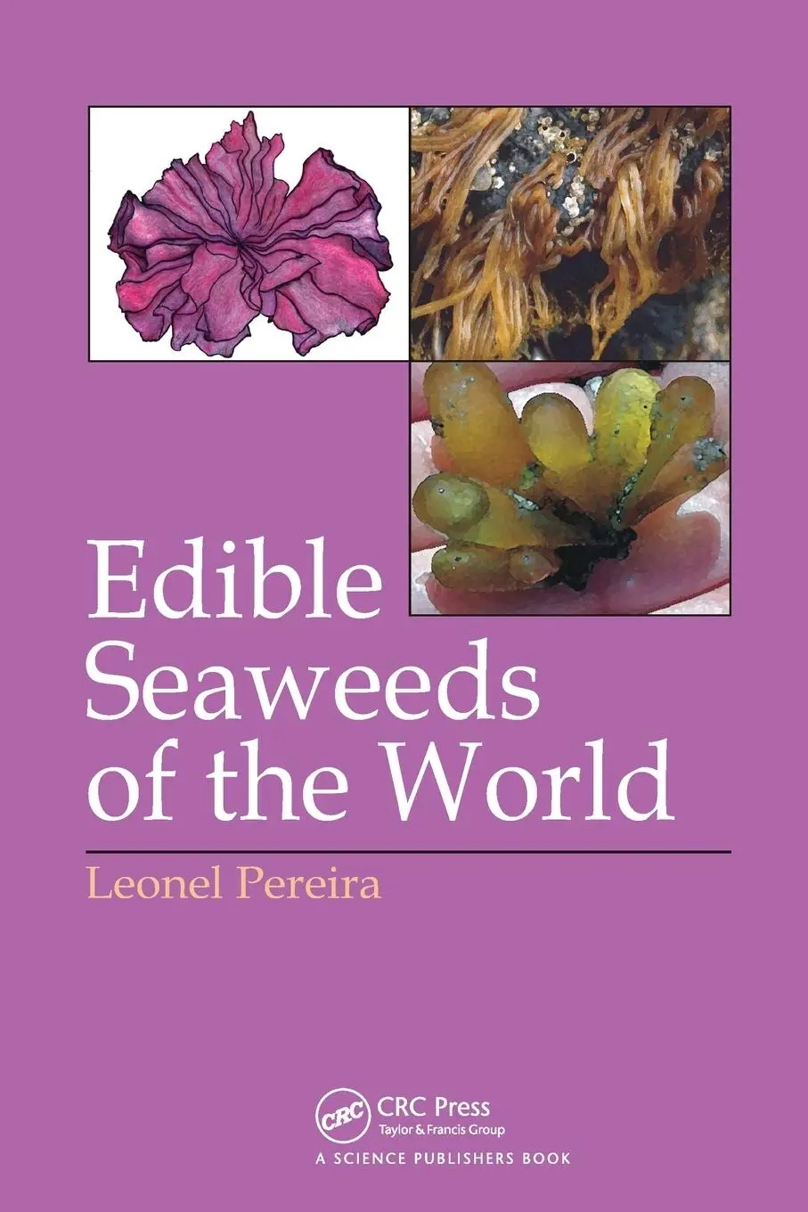 Cover: 9780367783235 | Edible Seaweeds of the World | Leonel Pereira | Taschenbuch | Englisch