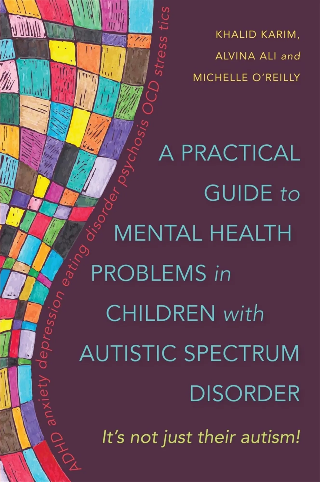 Cover: 9781849053235 | A Practical Guide to Mental Health Problems in Children with...