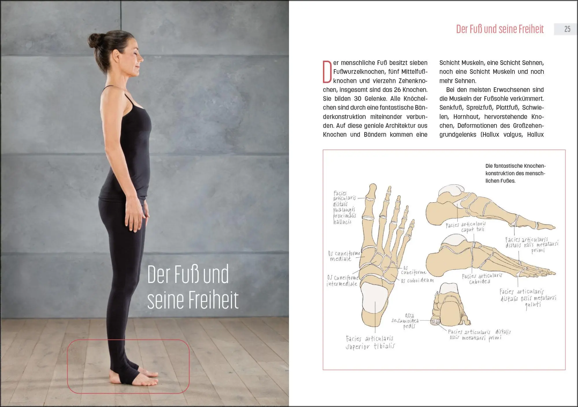 Bild: 9783517103235 | Laufen mit Tigerfeeling | Benita Cantieni | Buch | 168 S. | Deutsch
