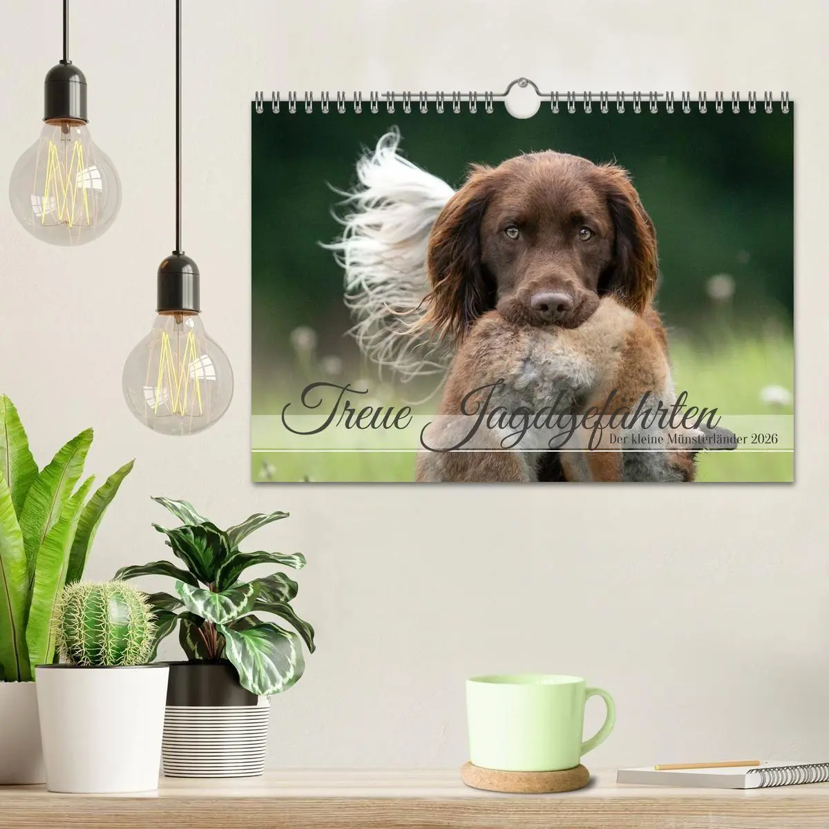 Bild: 9783457323335 | Treue Jagdgefährten Der kleine Münsterländer (Wandkalender 2026 DIN...