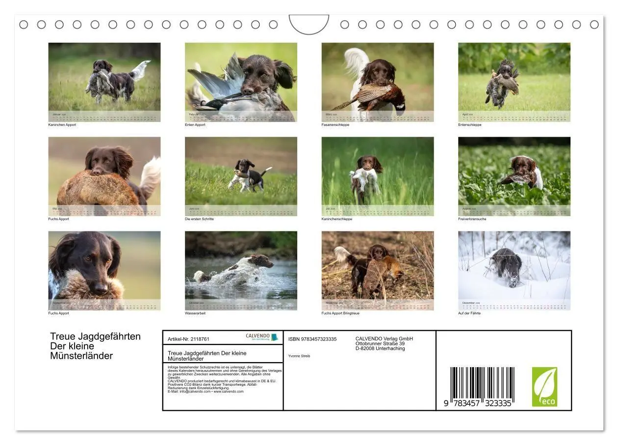 Bild: 9783457323335 | Treue Jagdgefährten Der kleine Münsterländer (Wandkalender 2026 DIN...