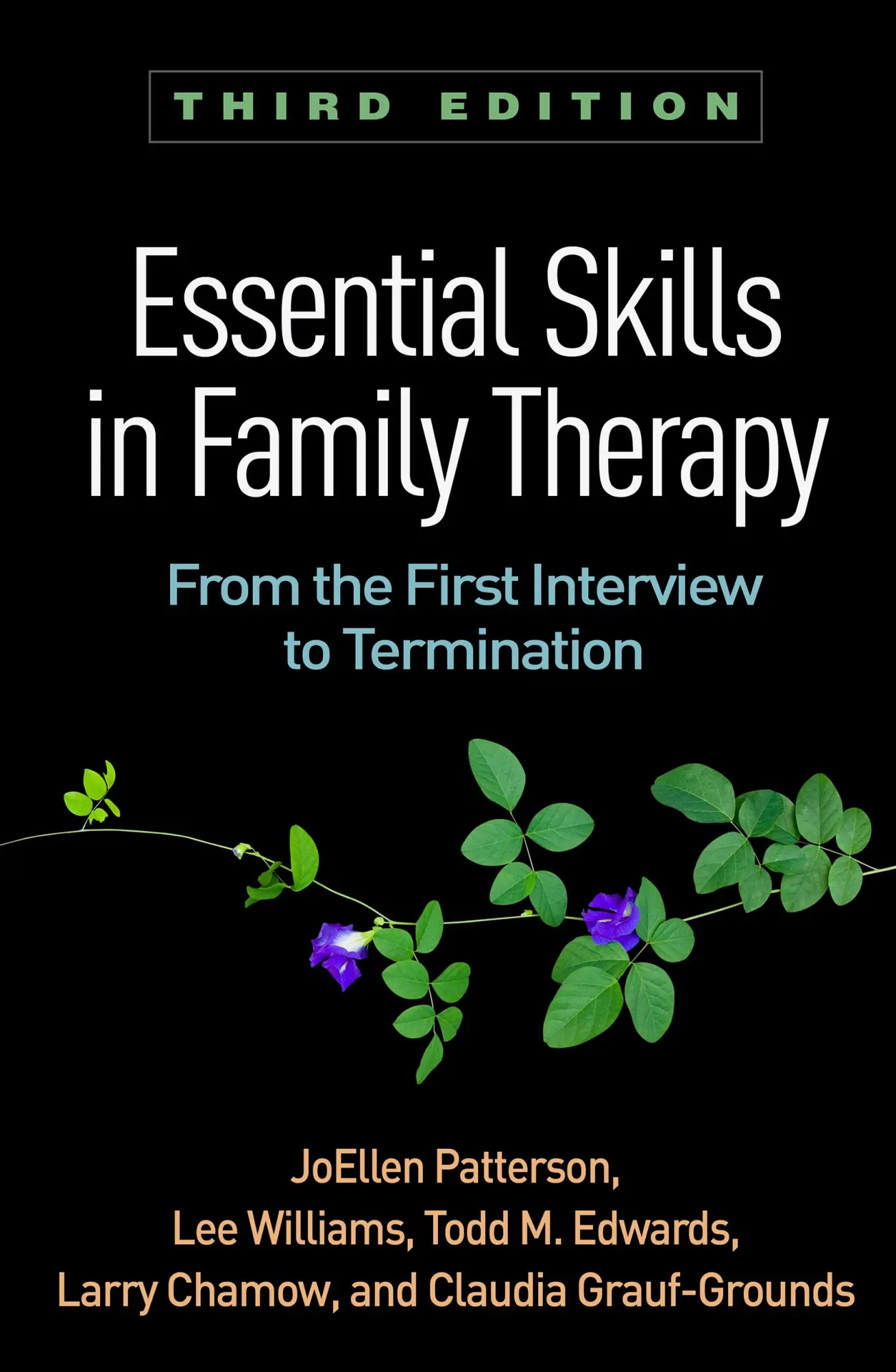 Cover: 9781462533435 | Essential Skills in Family Therapy | Joellen Patterson (u. a.) | Buch