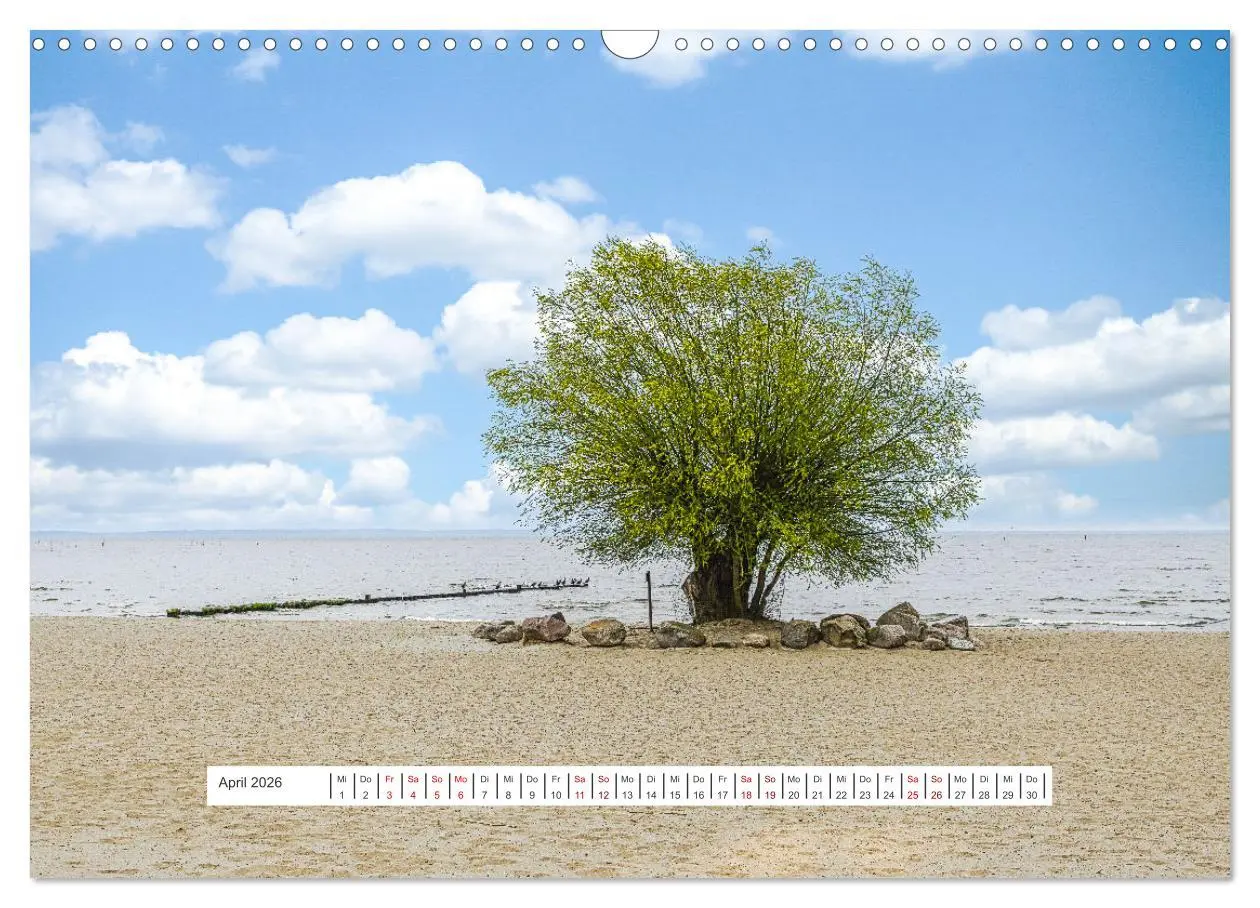 Bild: 9783457623435 | Region Ueckermünde (Wandkalender 2026 DIN A3 quer), CALVENDO...