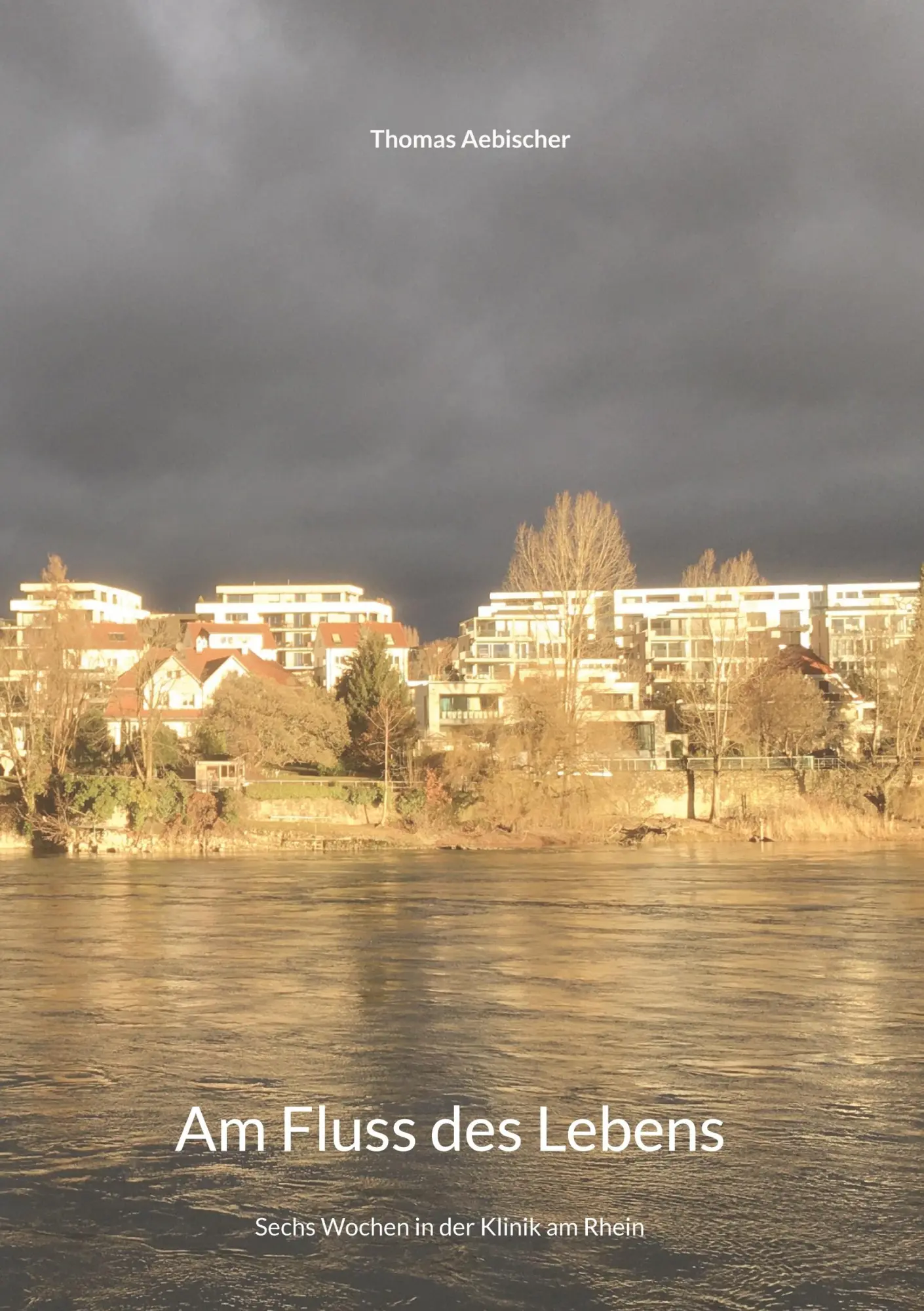 Cover: 9783756223435 | Am Fluss des Lebens | Sechs Wochen in der Klinik am Rhein | Aebischer
