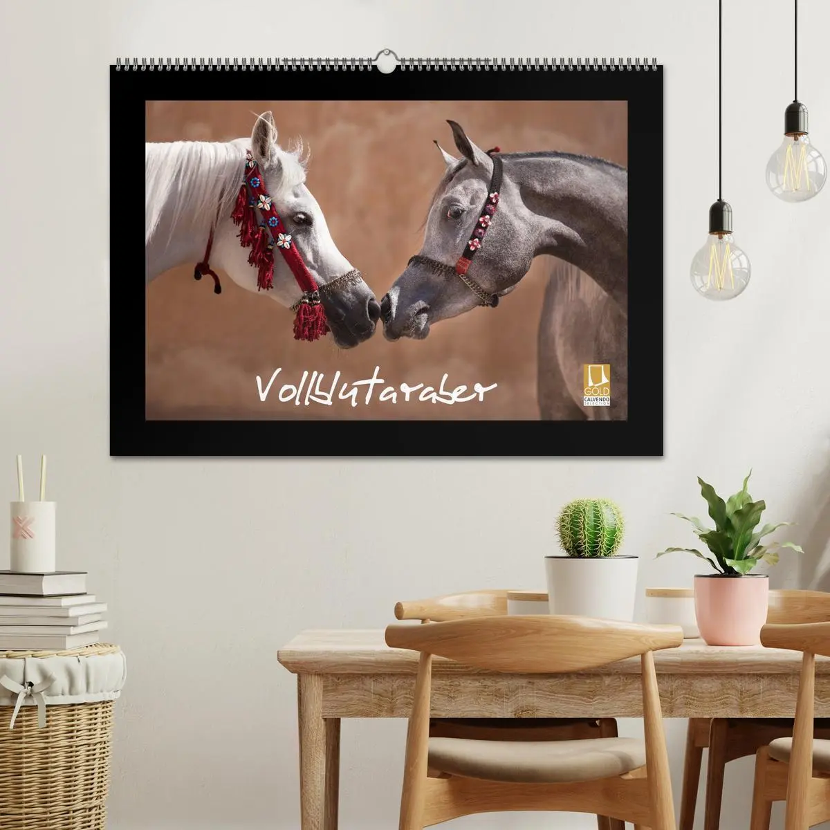 Bild: 9783516183535 | Vollblutaraber (Wandkalender 2026 DIN A2 quer), CALVENDO...