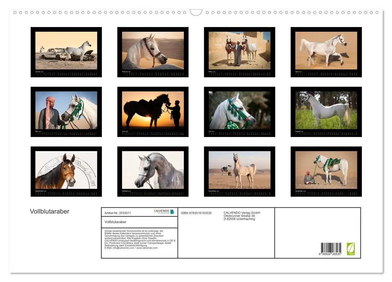 Bild: 9783516183535 | Vollblutaraber (Wandkalender 2026 DIN A2 quer), CALVENDO...