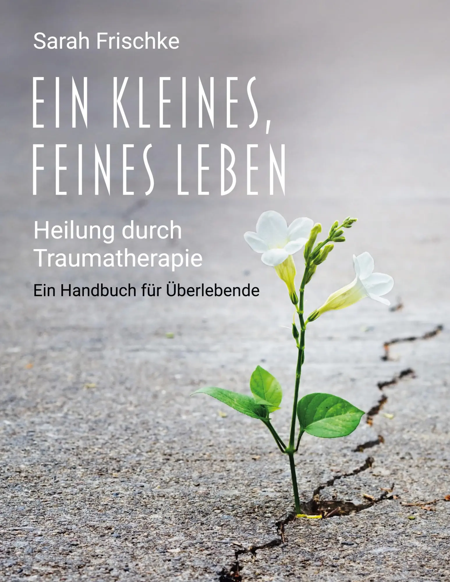 Cover: 9783756213535 | Ein kleines, feines Leben | Sarah Frischke | Taschenbuch | Paperback