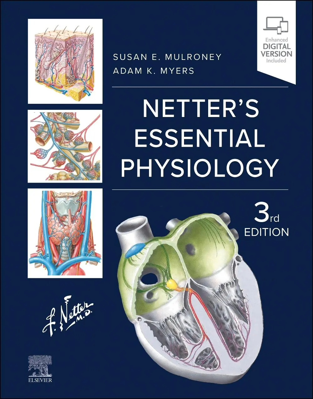 Cover: 9780443113635 | Netter's Essential Physiology | Susan Mulroney (u. a.) | Englisch