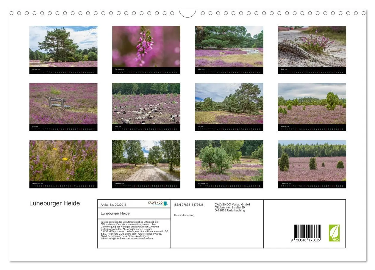Bild: 9783516173635 | Lüneburger Heide (Wandkalender 2026 DIN A3 quer), CALVENDO...
